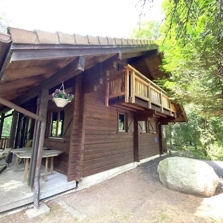 Le Renard En Bois